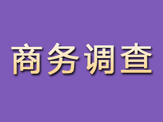 冕宁商务调查